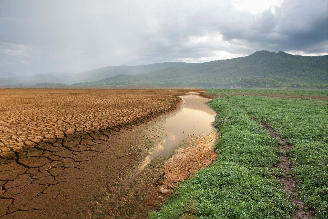La crisis climática y su impacto en la producción de alimentos en Honduras
