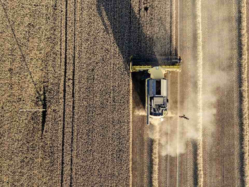 Proyecto financiado por Ficohsa permite convenio entre USAID y CONAGROH