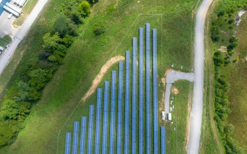 Precios de paneles solares en Panamá: ¿cuánto cuesta la instalación?